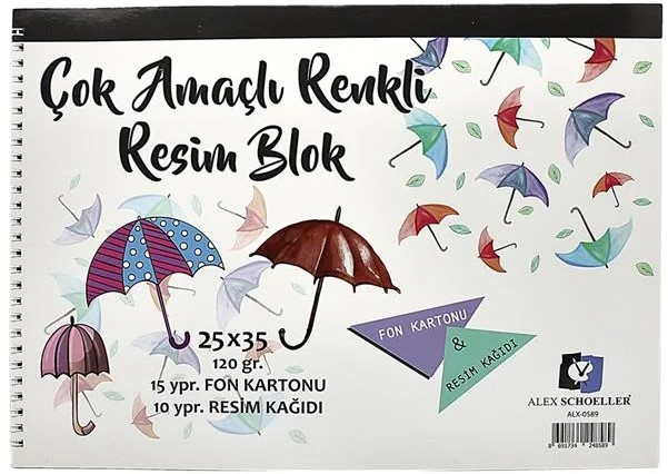 ALEX RESİM DEFTERİ 25x35 120GR SPR. RENKLİ 25 Lİ ALX-0589- 