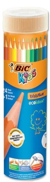 BIC KURU BOYA EVOLUTION 24+1 TÜP 958190- 