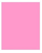 CRAFT AND ARTS FON KARTONU 50x70 160 GR PASTEL PEMBE 30000347- 