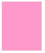 CRAFT & ARTS FON KARTONU 50x70 160 GR PEMBE 30006834- 