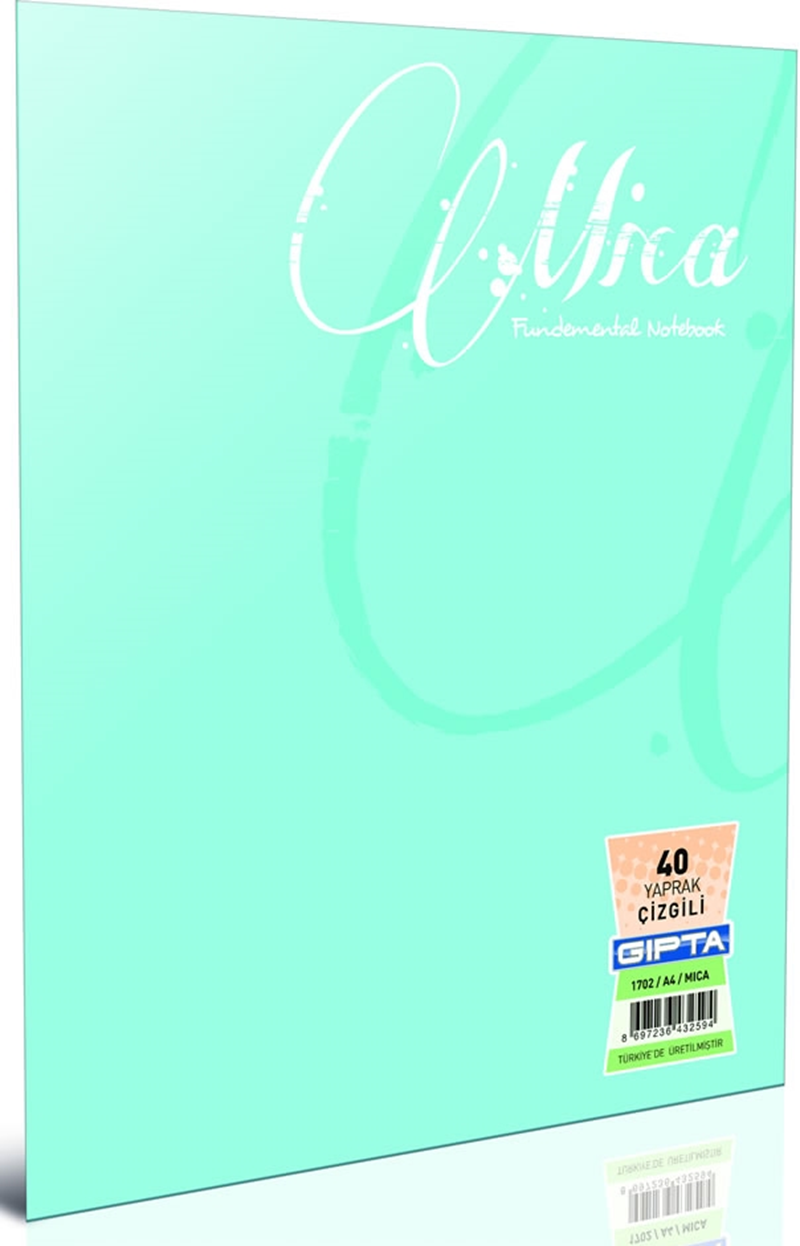 GIPTA DEFTER MICA A5 TEL DİKİŞLİ PP KAPAK 80 YP. KARELİ 2055- 