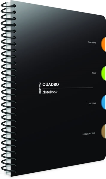 GIPTA DEFTER QUADRO 17X24 SPİRALLİ PP KAPAK 4 SEPERATÖRLÜ 150 YP. KARELİ 2908- 