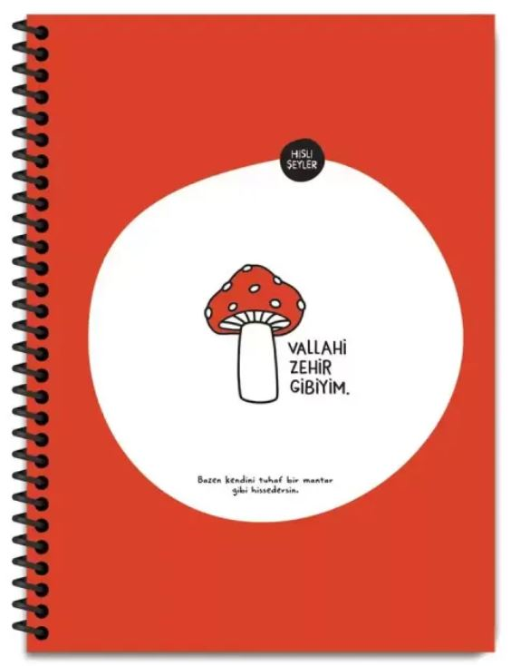 KESKİN DEFTER HİSLİ ŞEYLER ZEHİR GİBİYİM 18,5x25 SPİRALLİ KARTON KAPAK STICKERLİ 80 YP. KARELİ 500622- 