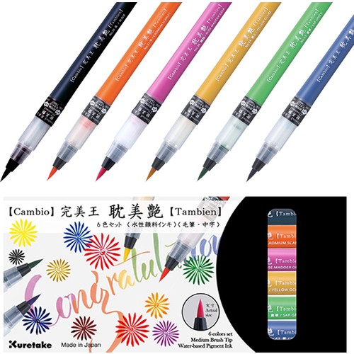 ZIG CAMBIO TAMBIEN PEN 6 LI SET X050T/6VB- 